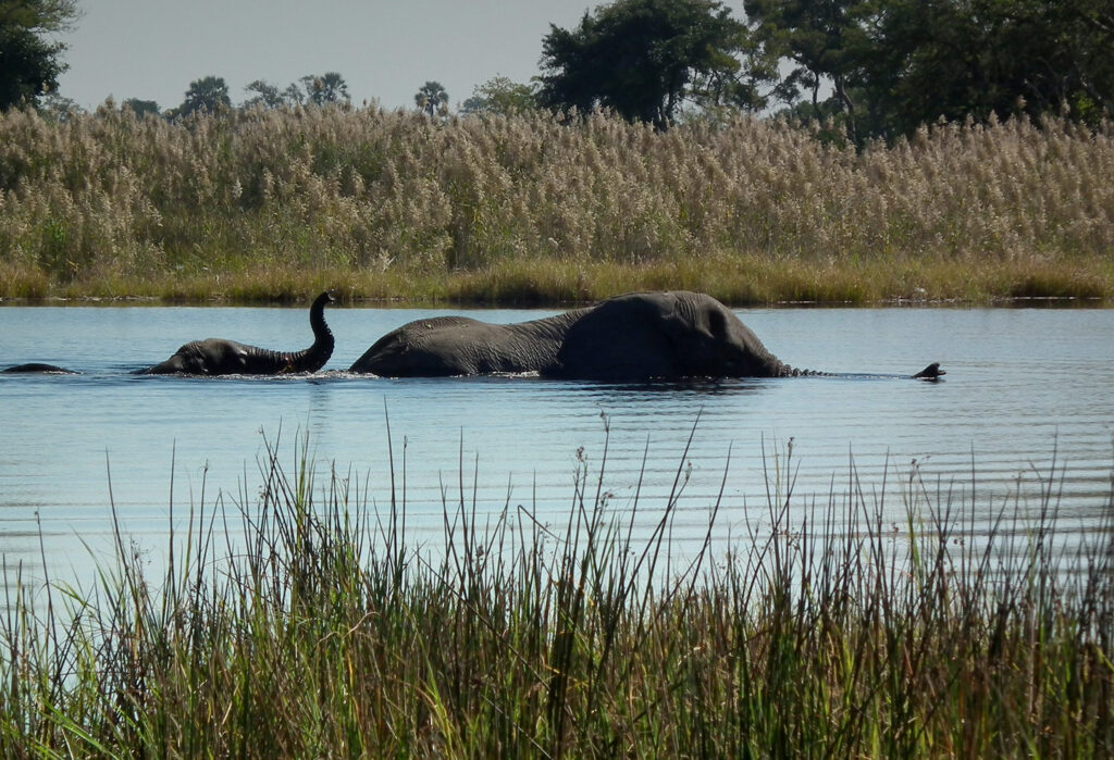 Okavango Delta destination photo
