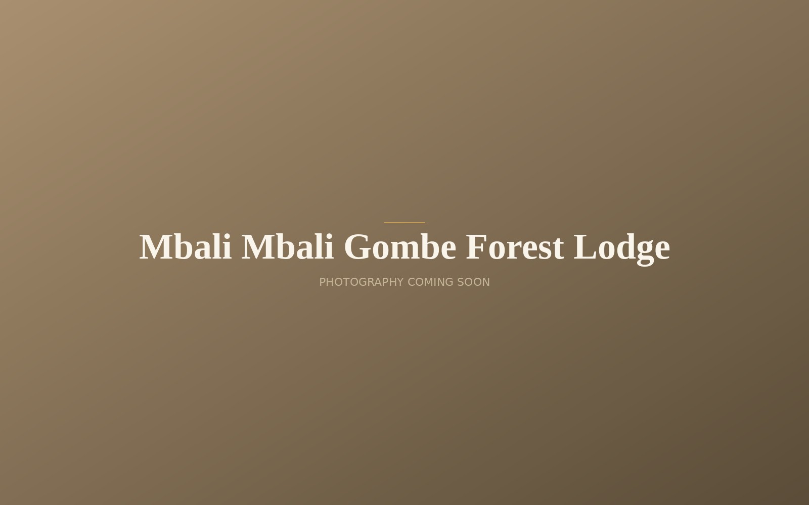 Mbali Mbali Gombe Forest Lodge safari lodge