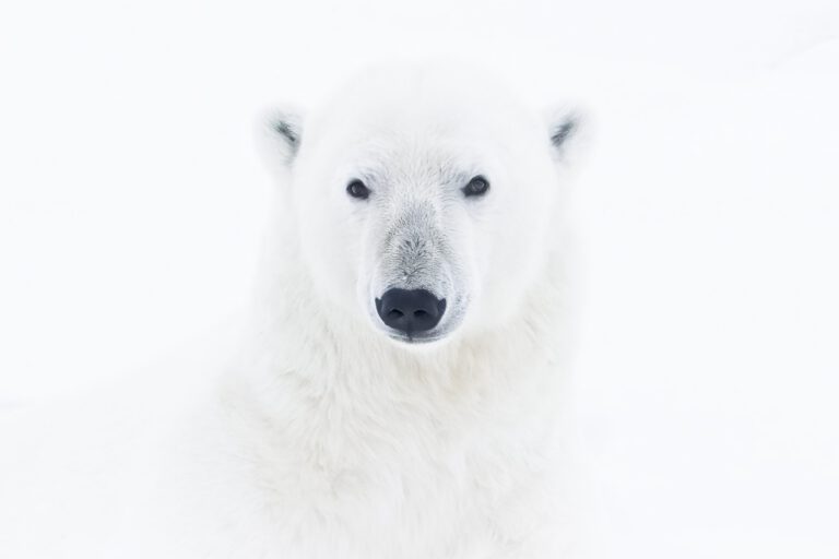 Svalbard