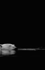 _F9A1209 copy
